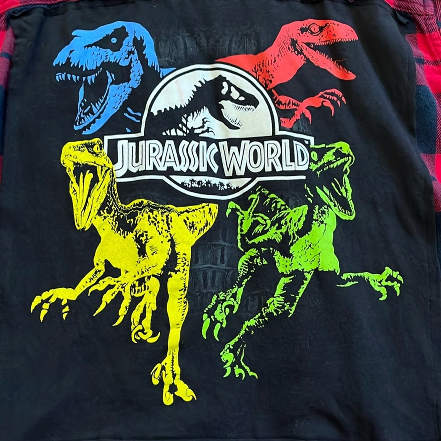 A&F Jurassic World Flannel Shirt upcycled unisex size 15 / 16